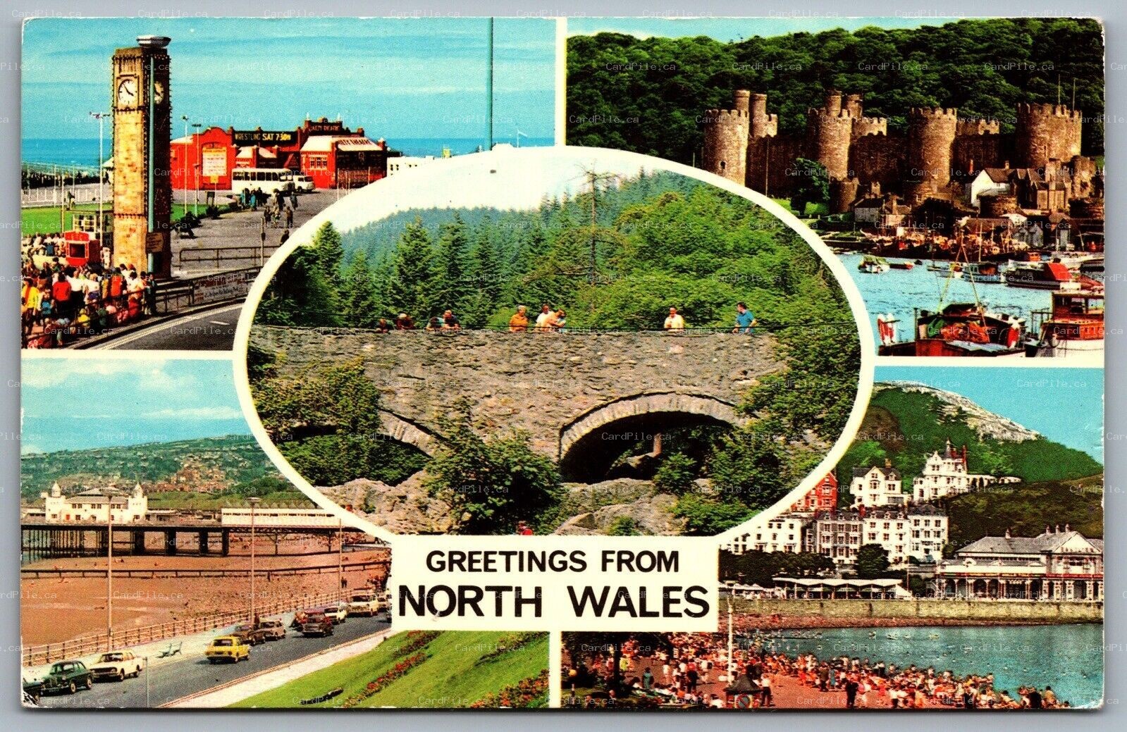 Postcard North Wales UK c1960s Greetings from North Wales Multi View
