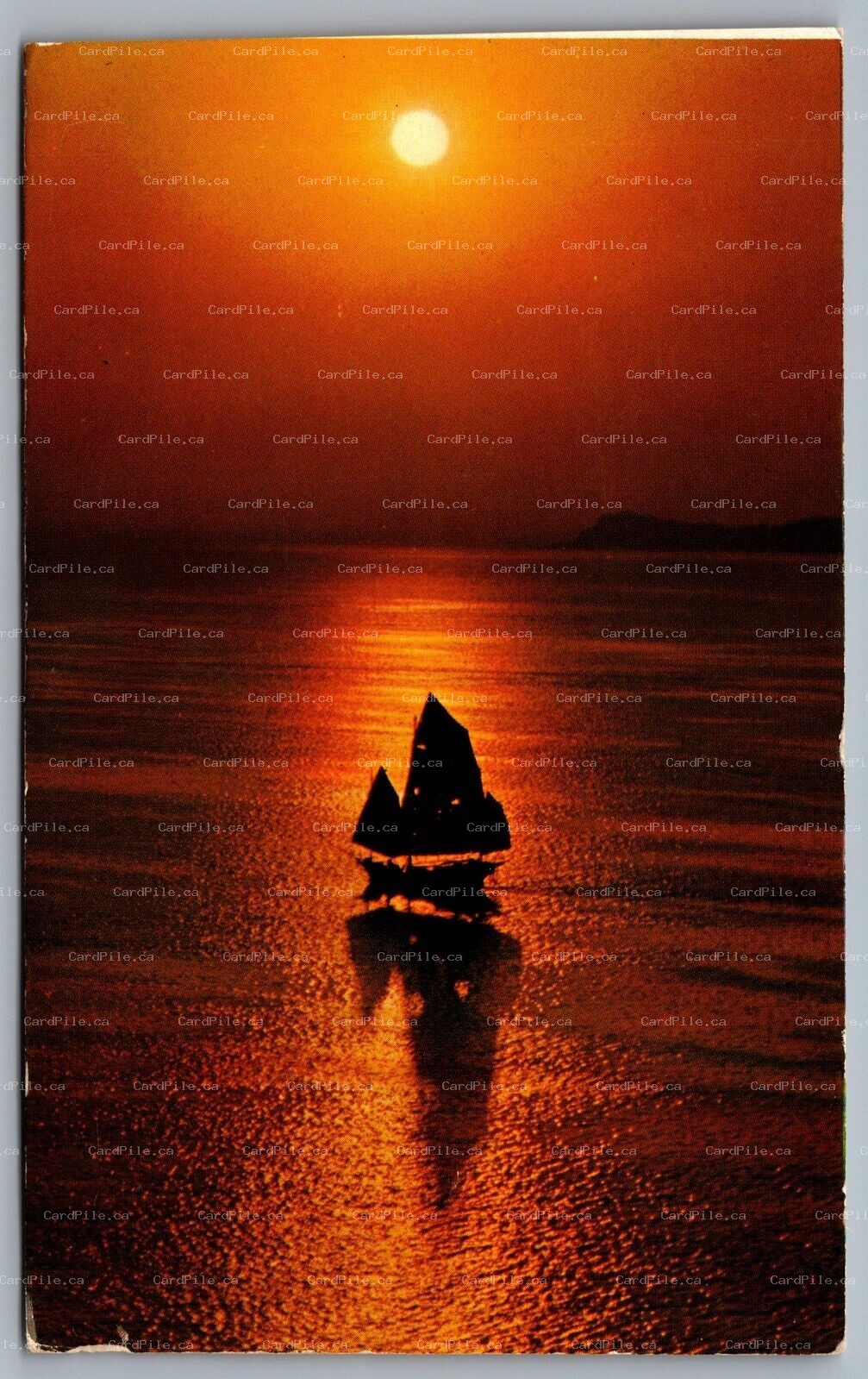 Postcard Hong Kong c1980s The Sailing Boat Coming Back in the Sunset