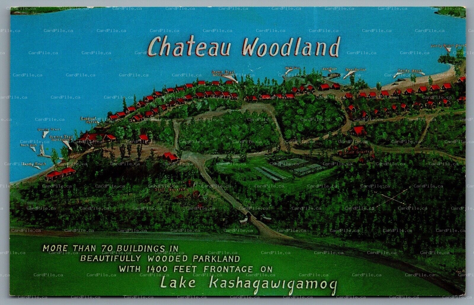Postcard Haliburton ONT 1960s Chateau Woodland Lake Kashagawigamog Rustic Hotels
