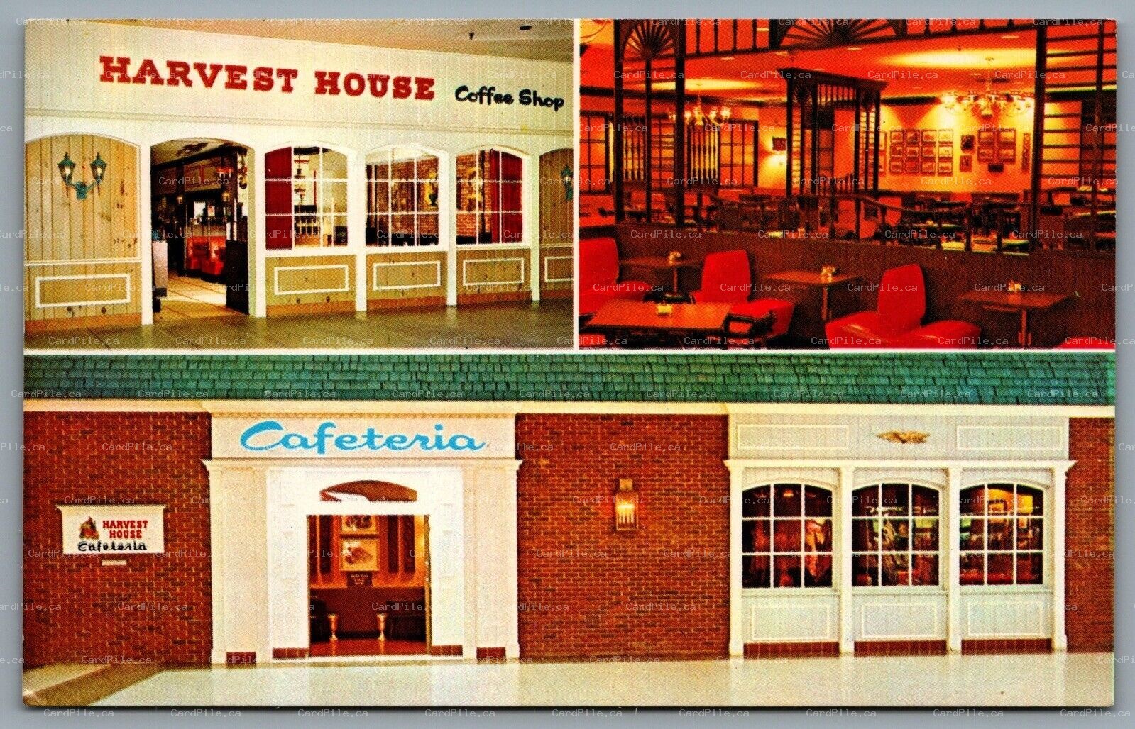 Postcard USA & Canada Harvest House Cafeterias And Coffee Shops Multi View