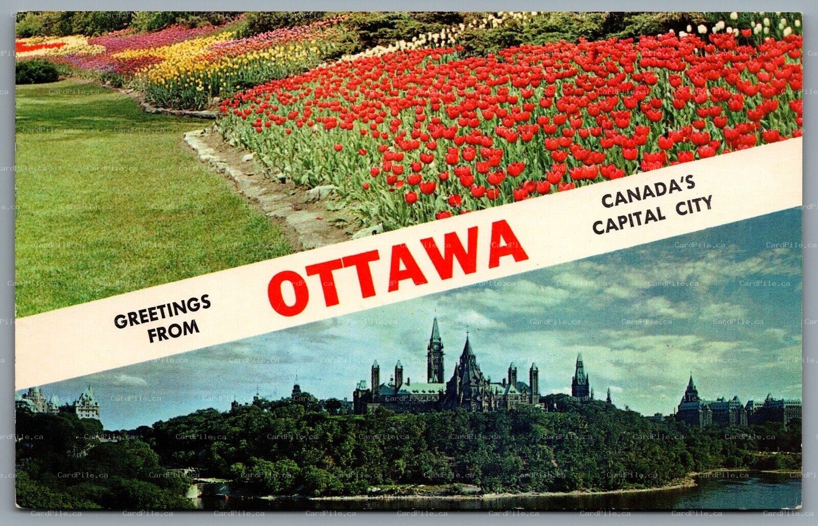 Postcard Ottawa ON c1960s Greetings From Ottawa Canada's Capital City Dual View