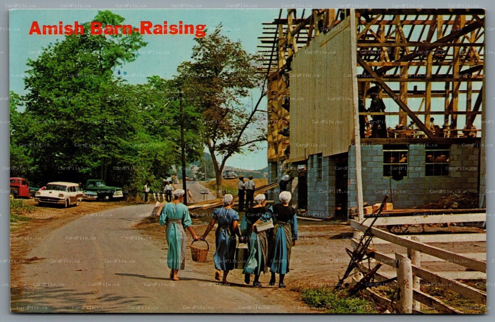 Postcard Pennsylvania c1960s Greetings From Amish The Amish Country Barn Raising