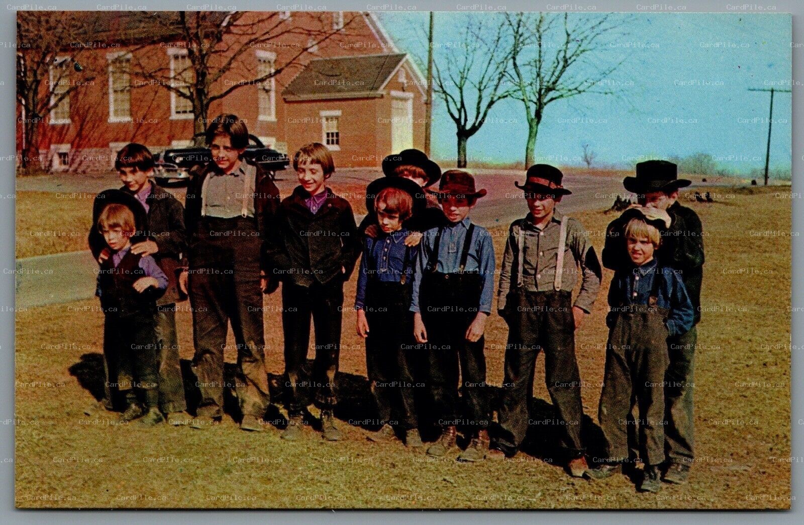 Postcard Pennsylvania c1960s Greetings From Amish The Amish Country Boy's Hair