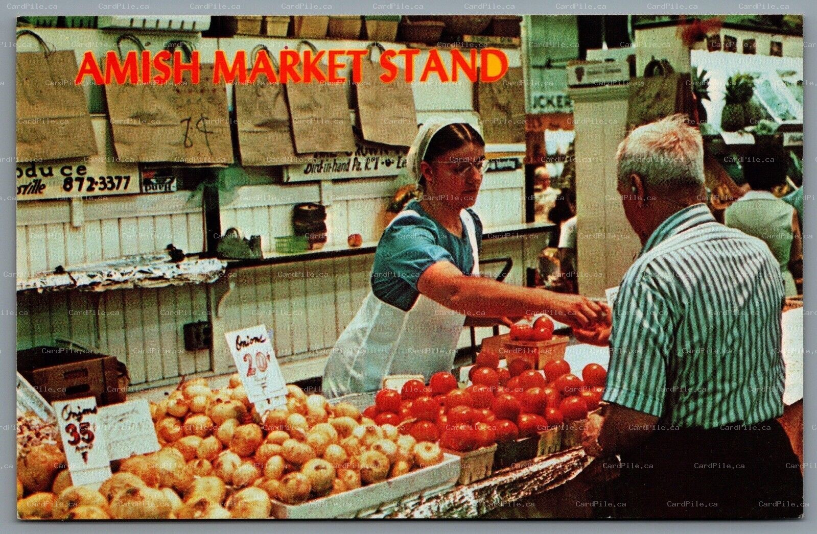 Postcard Pennsylvania c1960s Greetings From The Amish Country Market Stand