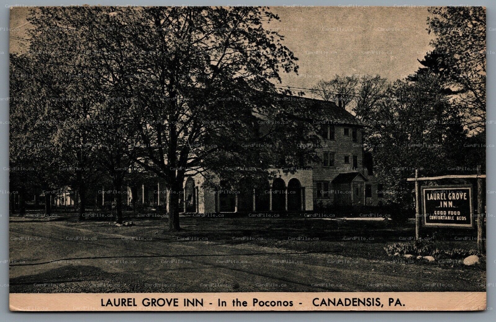 Postcard Canadensis PA c1947 Laurel Grove Inn And Cottages Poconos Mountains