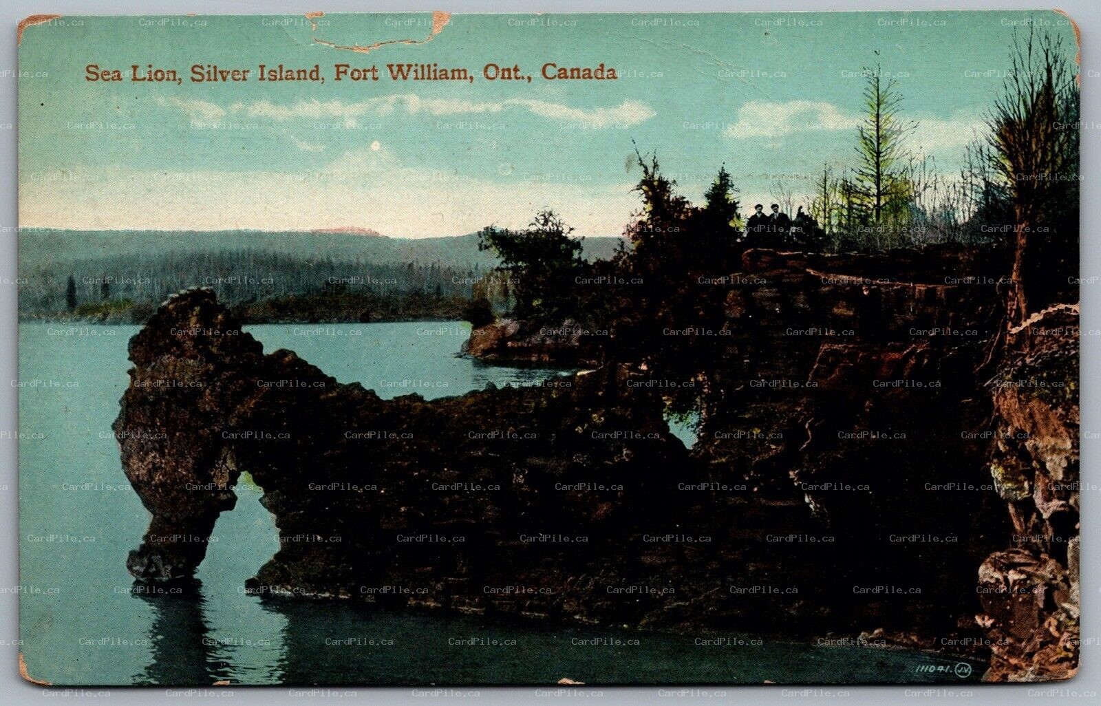 Postcard Fort William Ontario c1915 Sea Lion Silver Island Dryden ONT Duplex