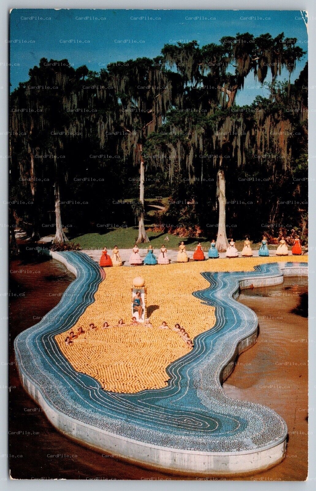 Postcard Cypress Gardens FL c1950s Esther Williams Swimming Pool Easy To Love