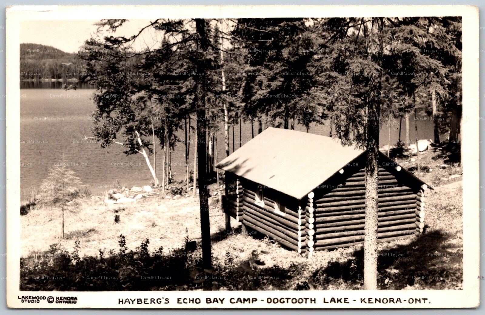 Postcard RPPC c1940s Kenora Ontario Hayberg