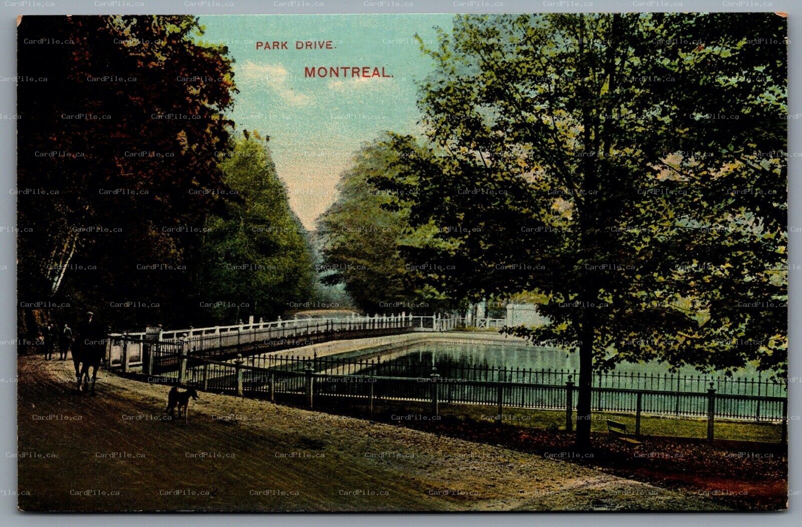 Postcard Montreal Quebec c1908 Park Drive Mount Royal View of Reservoir 