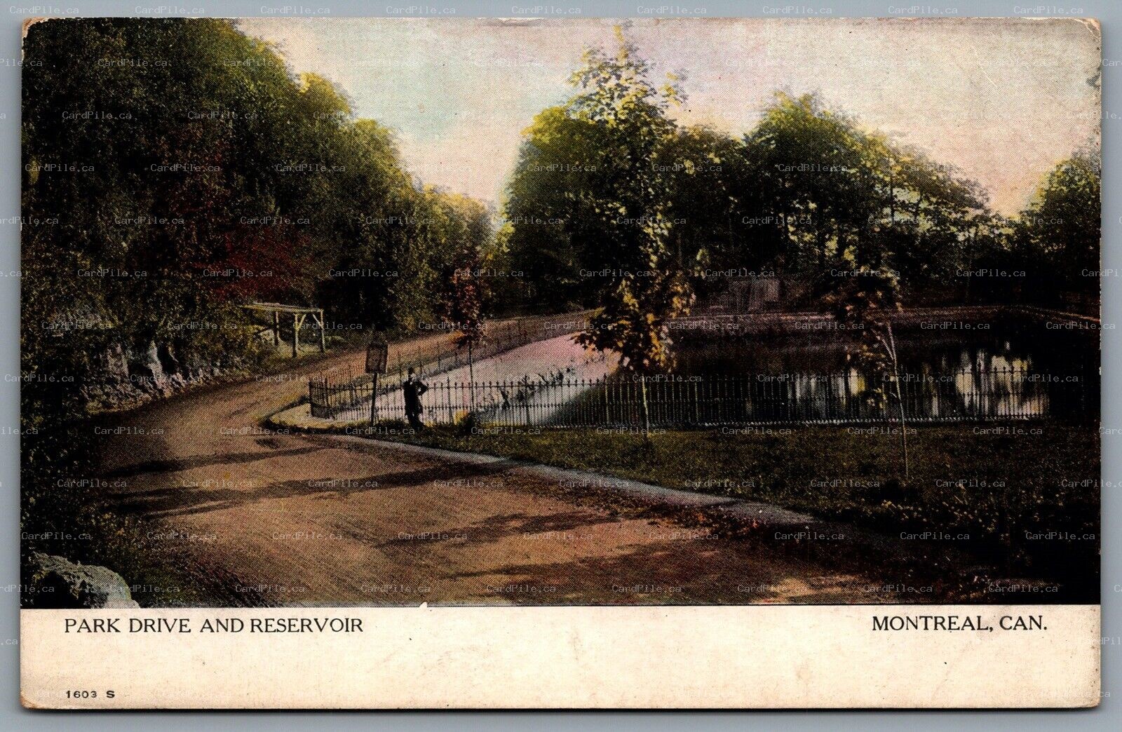 Postcard Montreal Quebec c1908 Park Drive and Reservoir Warwick Bros