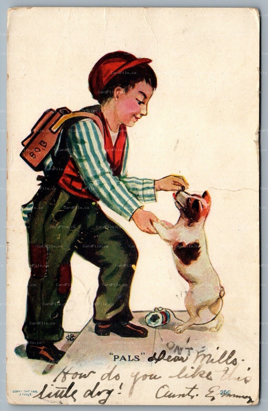 Postcard c1907 Artist Signed CNB Boy with Dog Pals J. Tully Berri Duplex Cancel