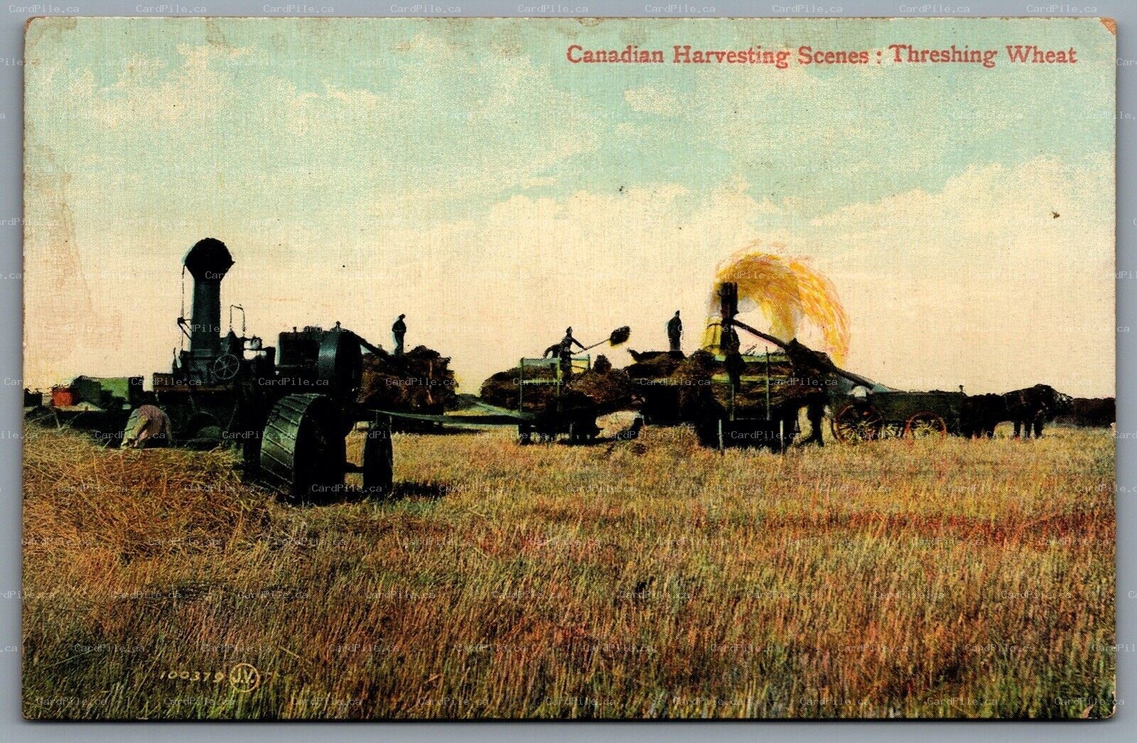 Postcard Canada c1906 Canadian Harvesting Scenes Threshing Wheat Farm Machinery