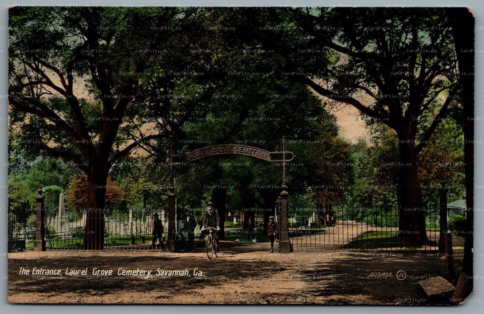 Postcard Savannah GA c1910s The Entrance Laurel Grove Cemetery