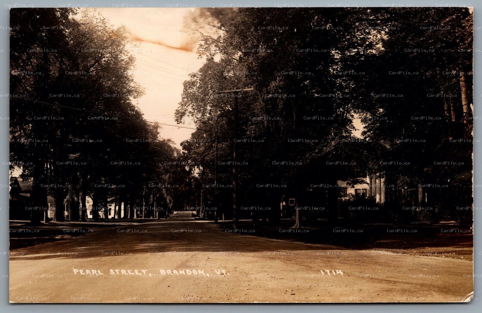 Postcard RPPC c1915 Brandon VT Pearl Street Road View R. Herman Cassens Photo