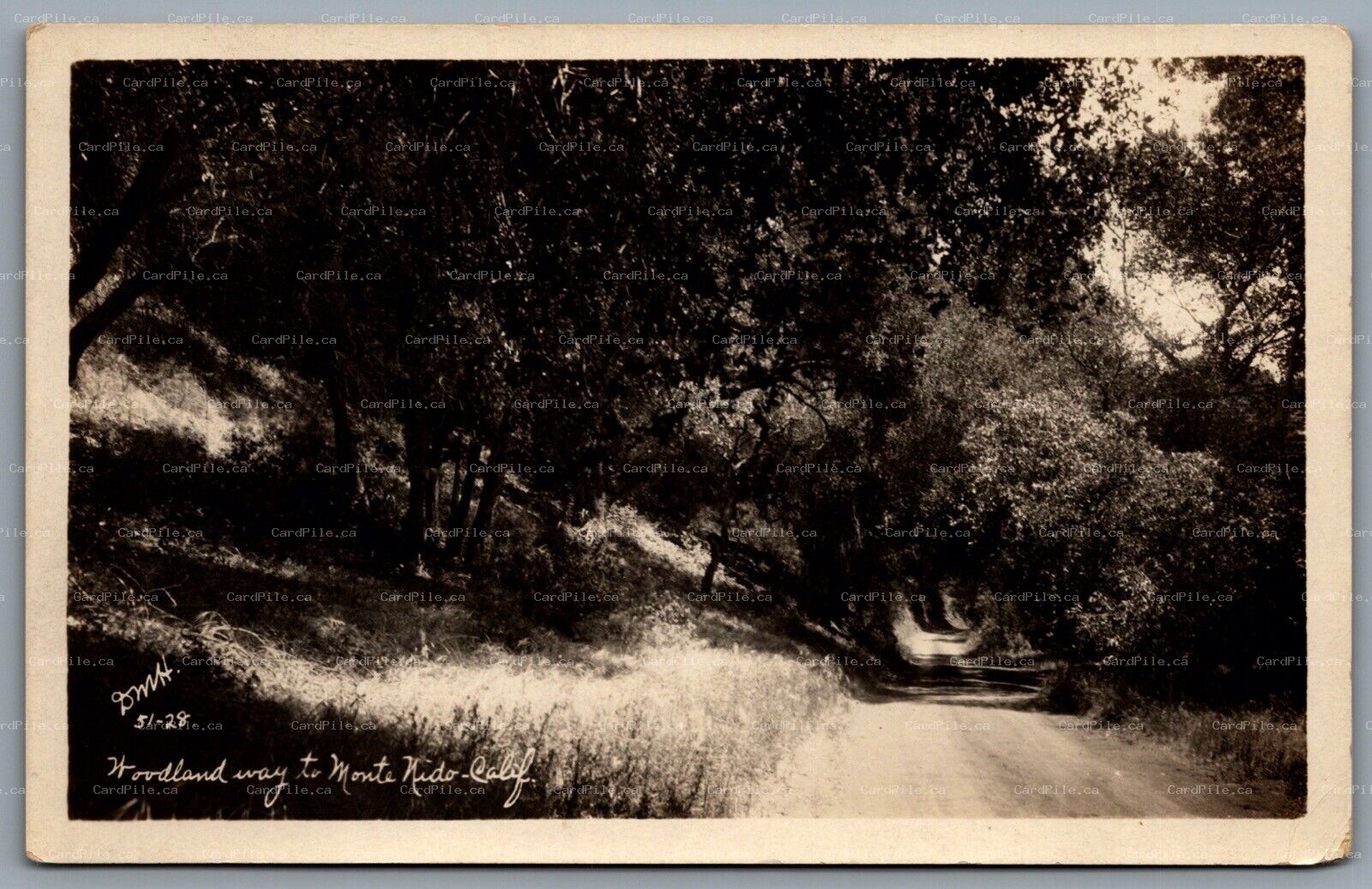 Postcard RPPC c1928 Monte Nido CA Woodland Way to Monte Nido Los Angeles County