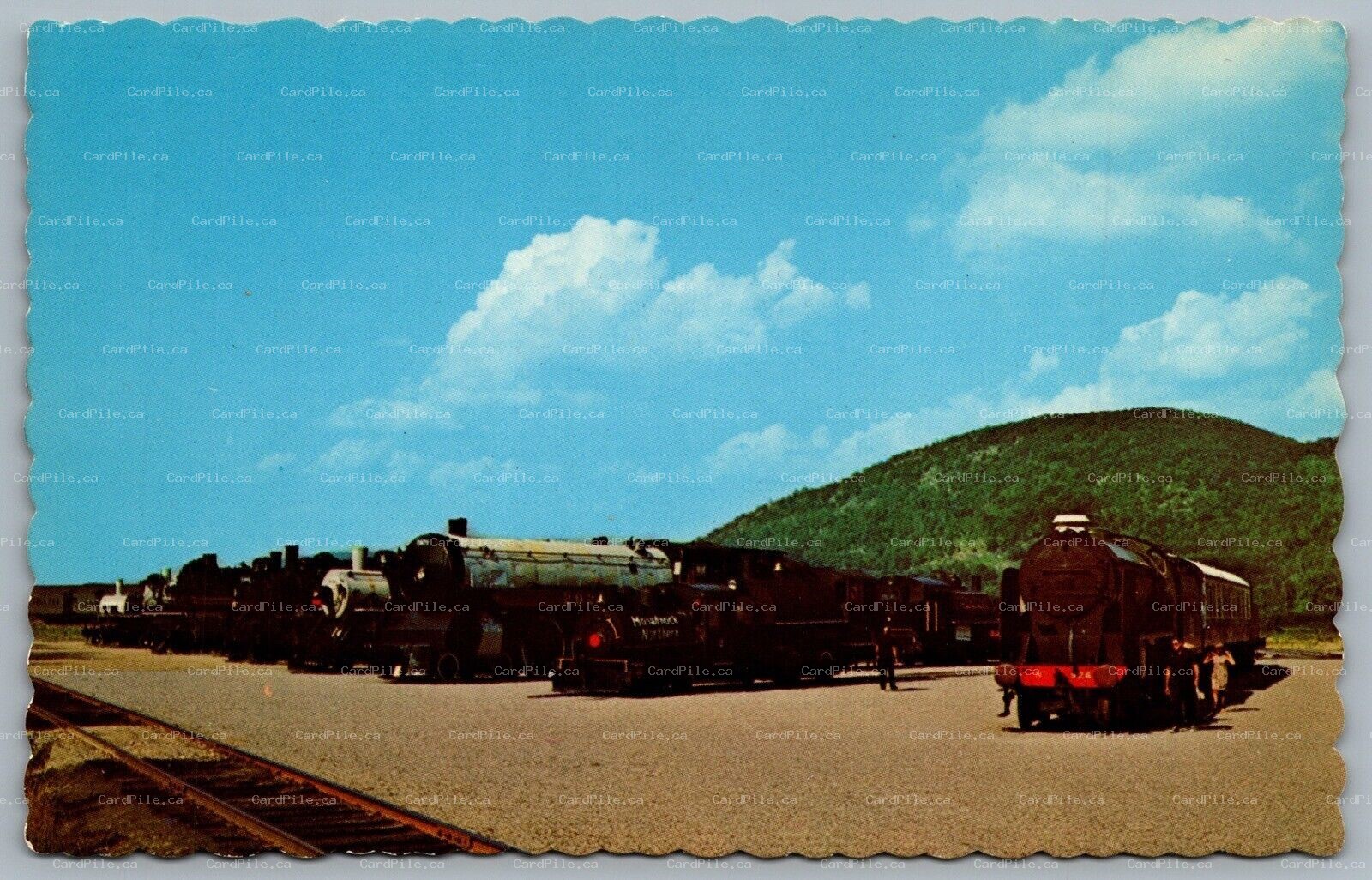 Postcard c1970s Steamtown USA Bellows Falls VT Locomotives on Display Repton CP