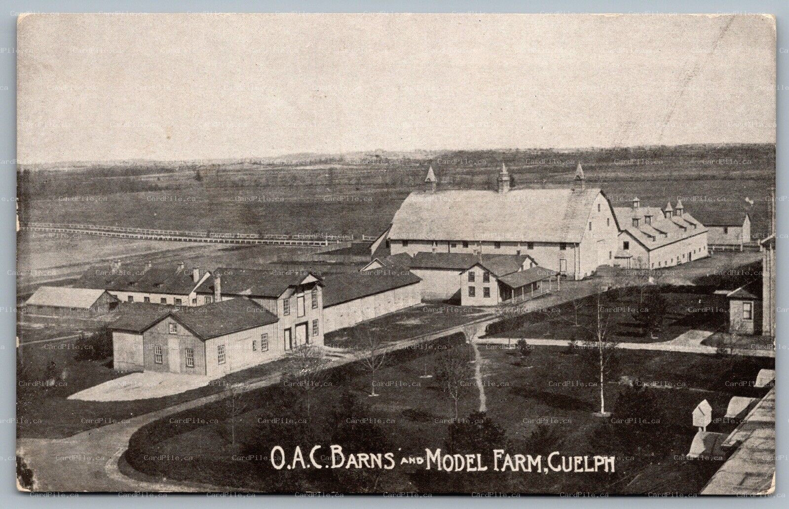 Postcard Guelph ONT c1910s O.A.C Barns And Model Farm Birds Eye View MacFarlane