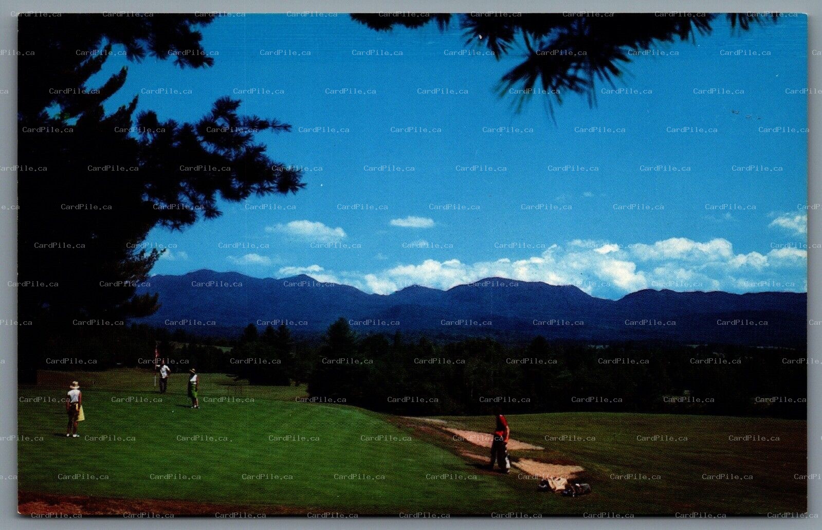 Postcard Lake Placid NY c1970s Golf Course Lake Placid Club Adirondack Mts.