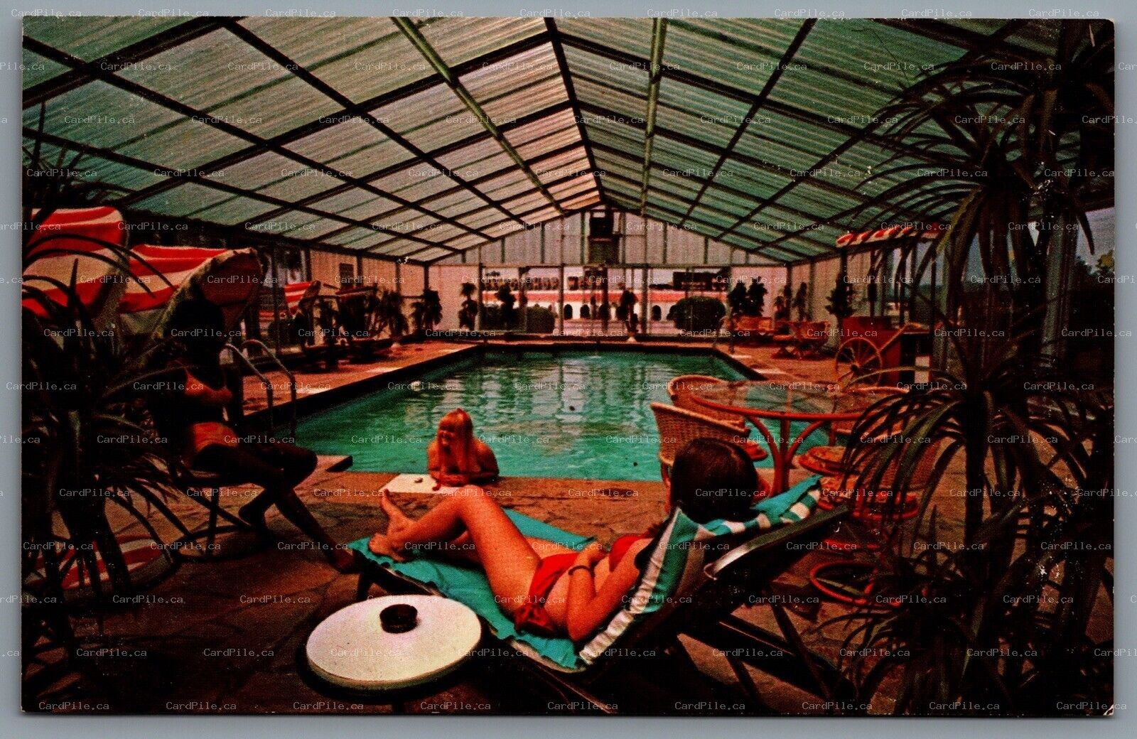 Postcard Dillon SC c1950 South Of The Border Pedro's Pleasure Dome Pool I95 