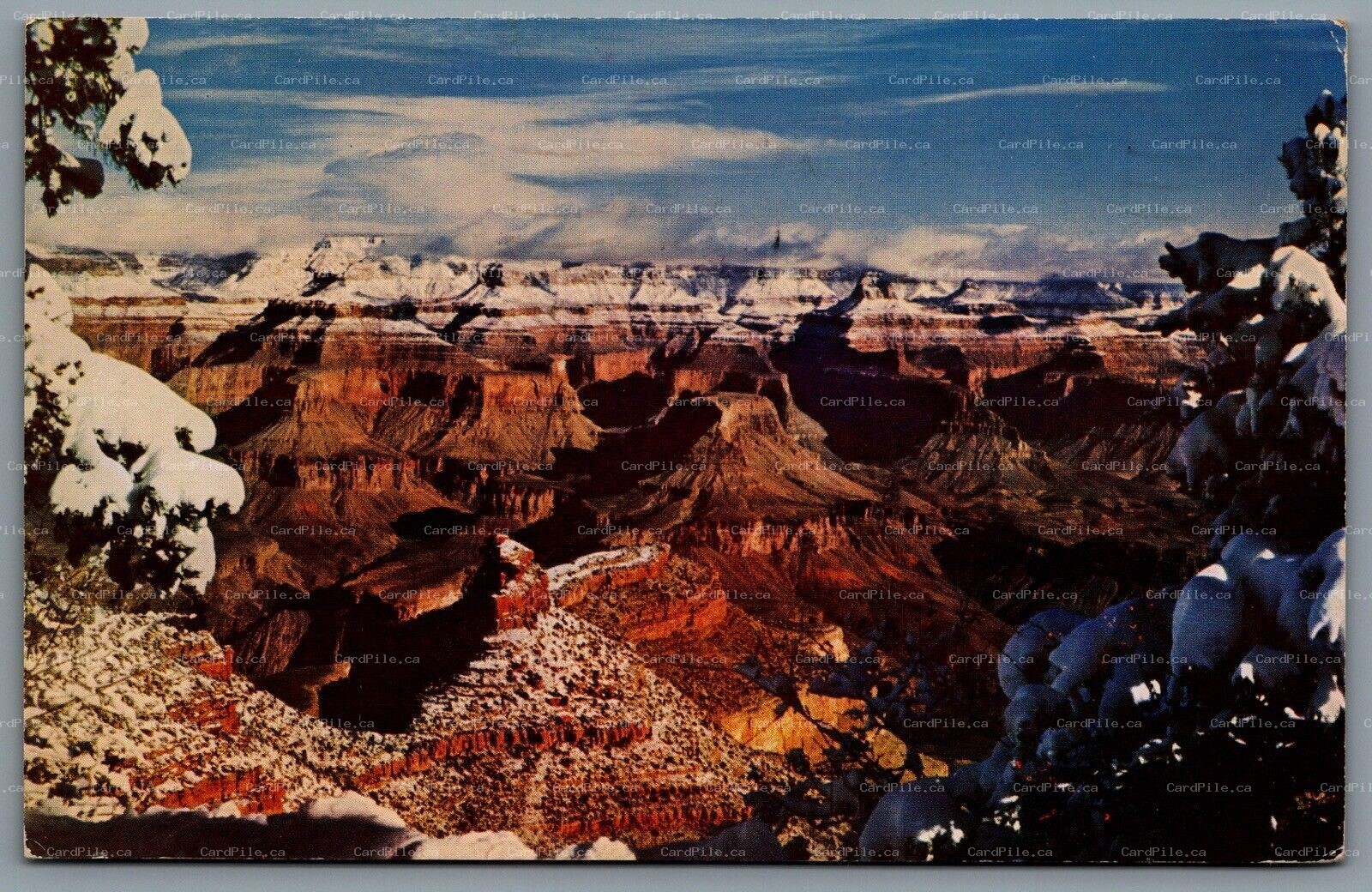 Postcard Grand Canyon National Park AZ c1954 Fred Harvey Snow Capped Mountains