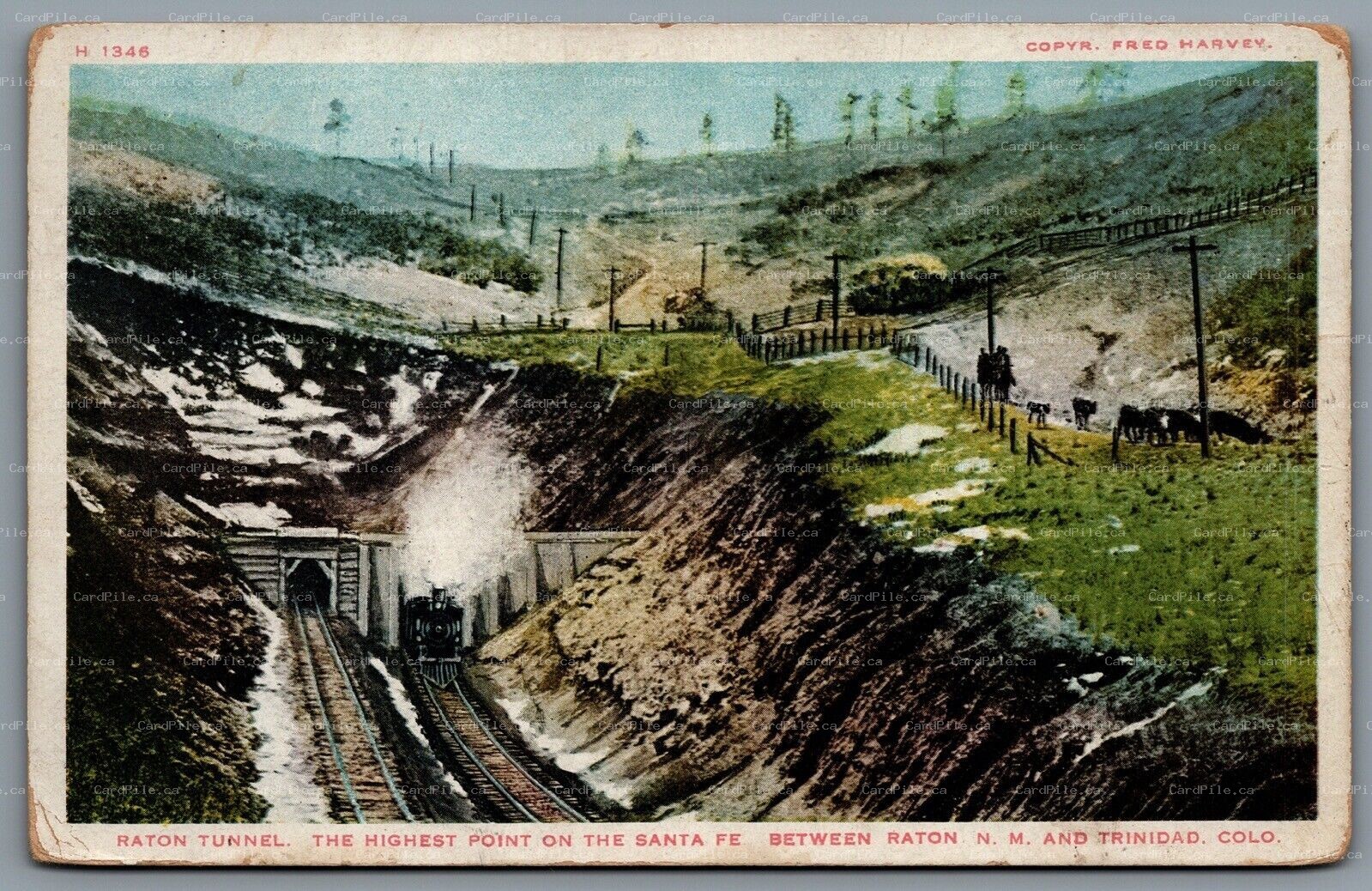 Postcard Trinidad CO c1920s Raton Tunnel Santa Fe Railroad Fred Harvey