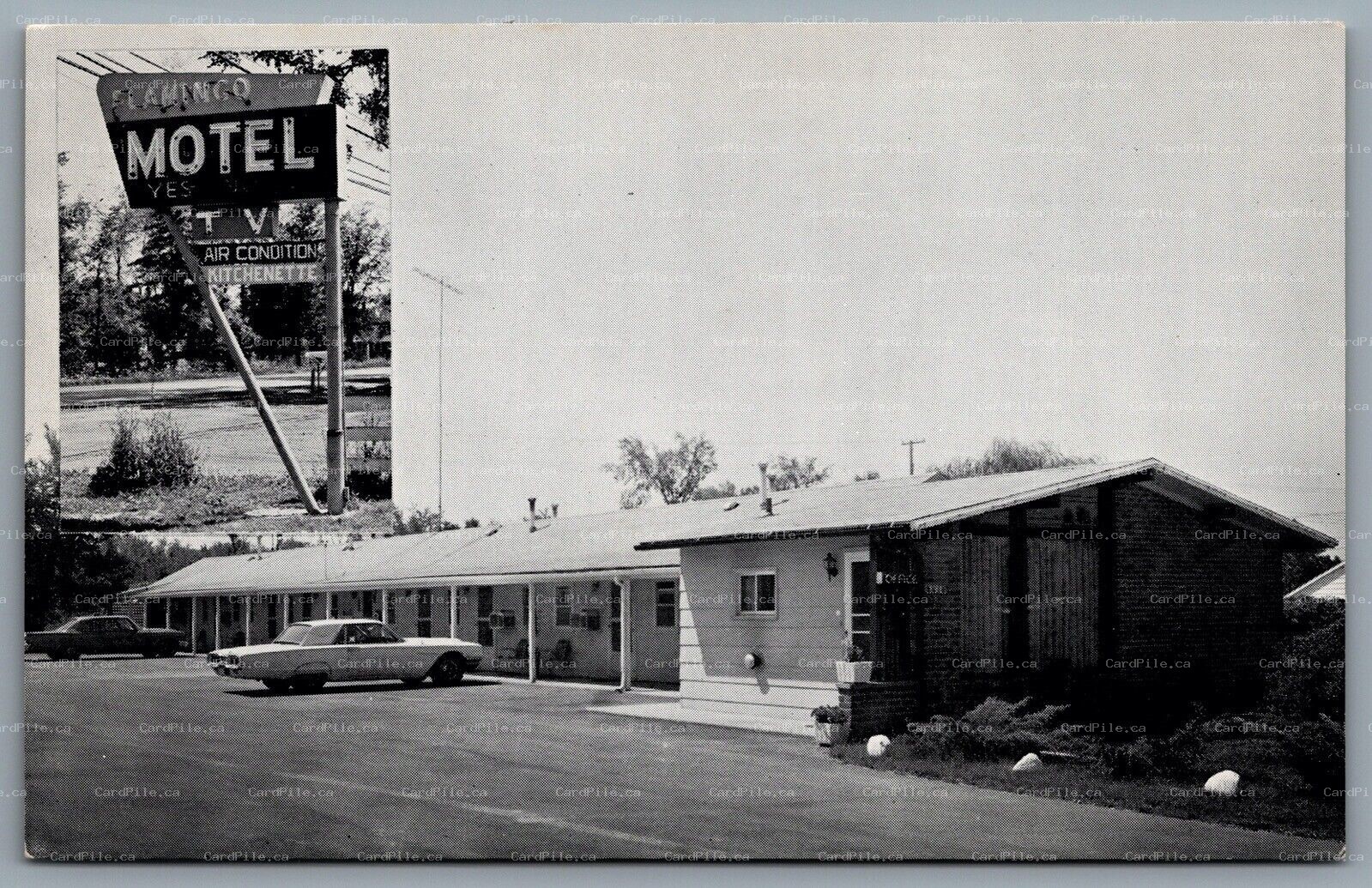 Postcard Port Huron MI 1960s Flamingo Motel Old Cars 3845 Lapeer Rd Still Active