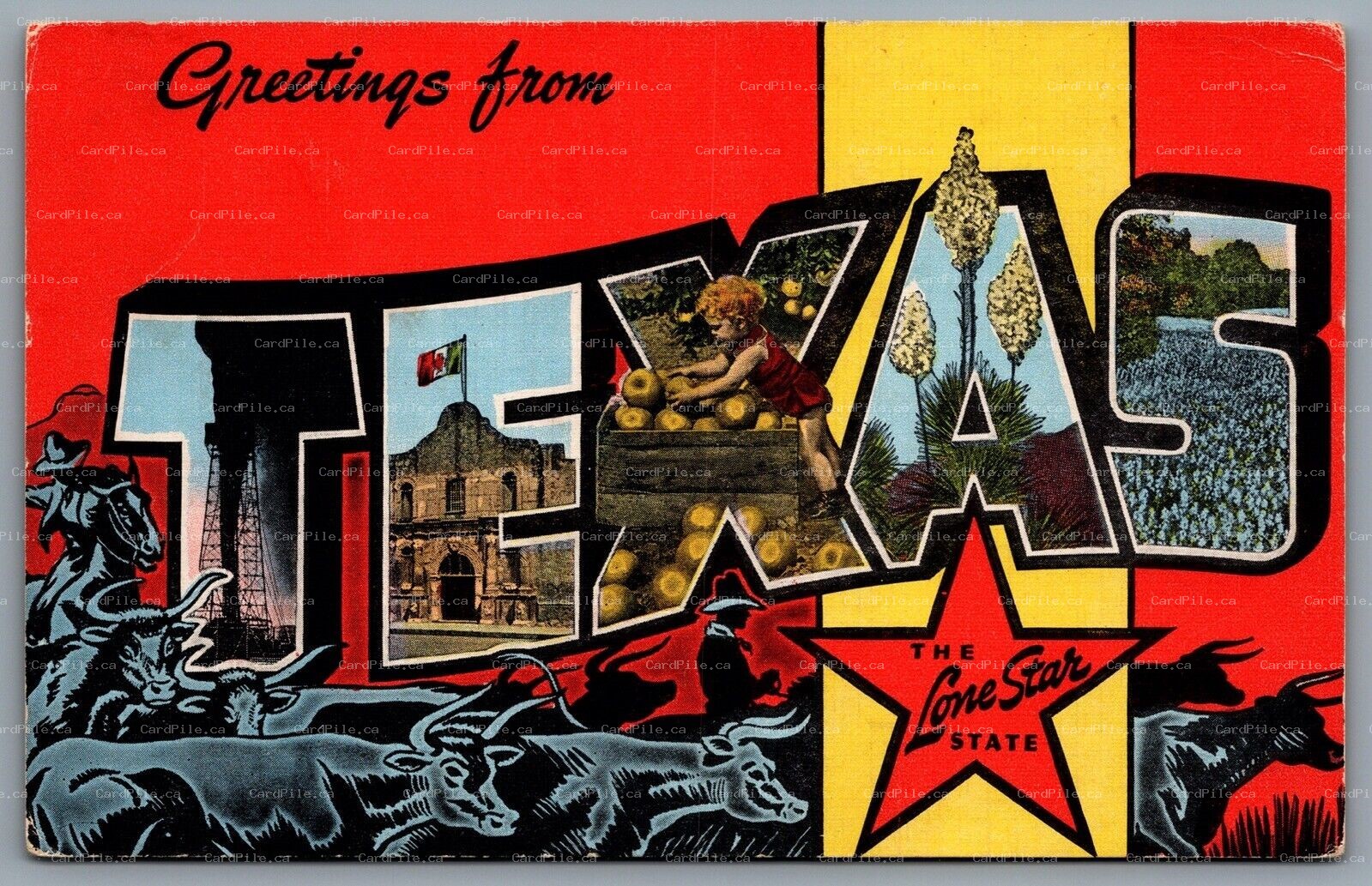 Postcard Texas c1940s Large Letter Greeting Multi View Cattle Silhouette  