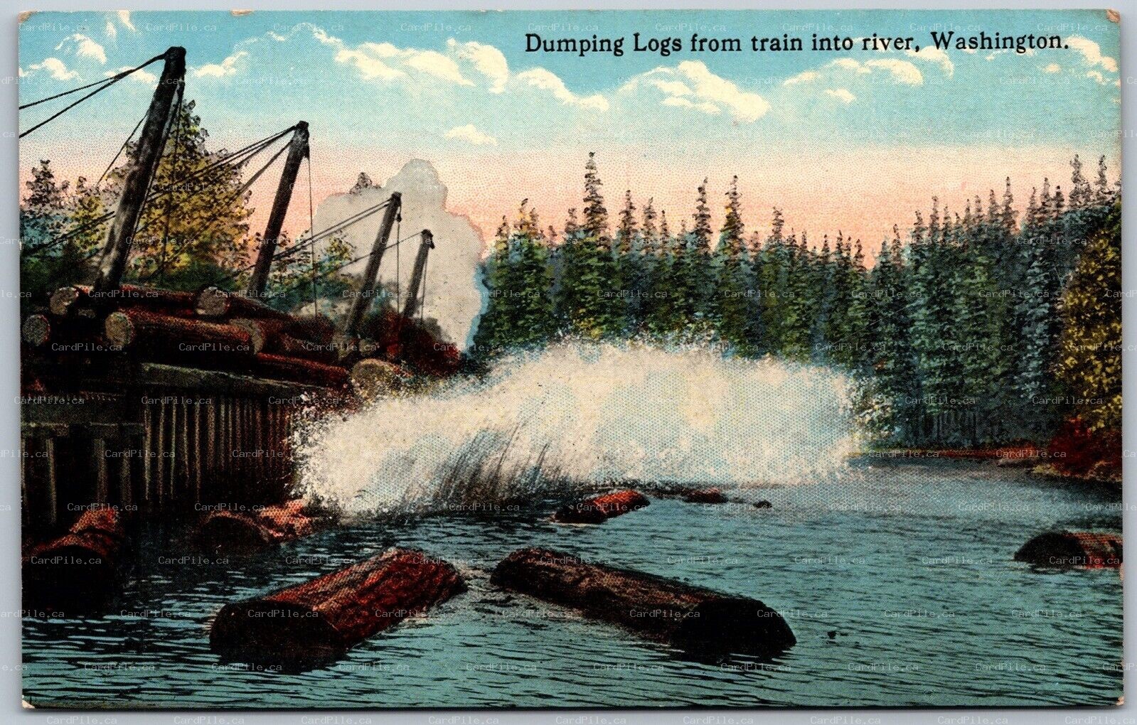 Postcard Washington c1910s Dumping Logs From Train Into River Logging