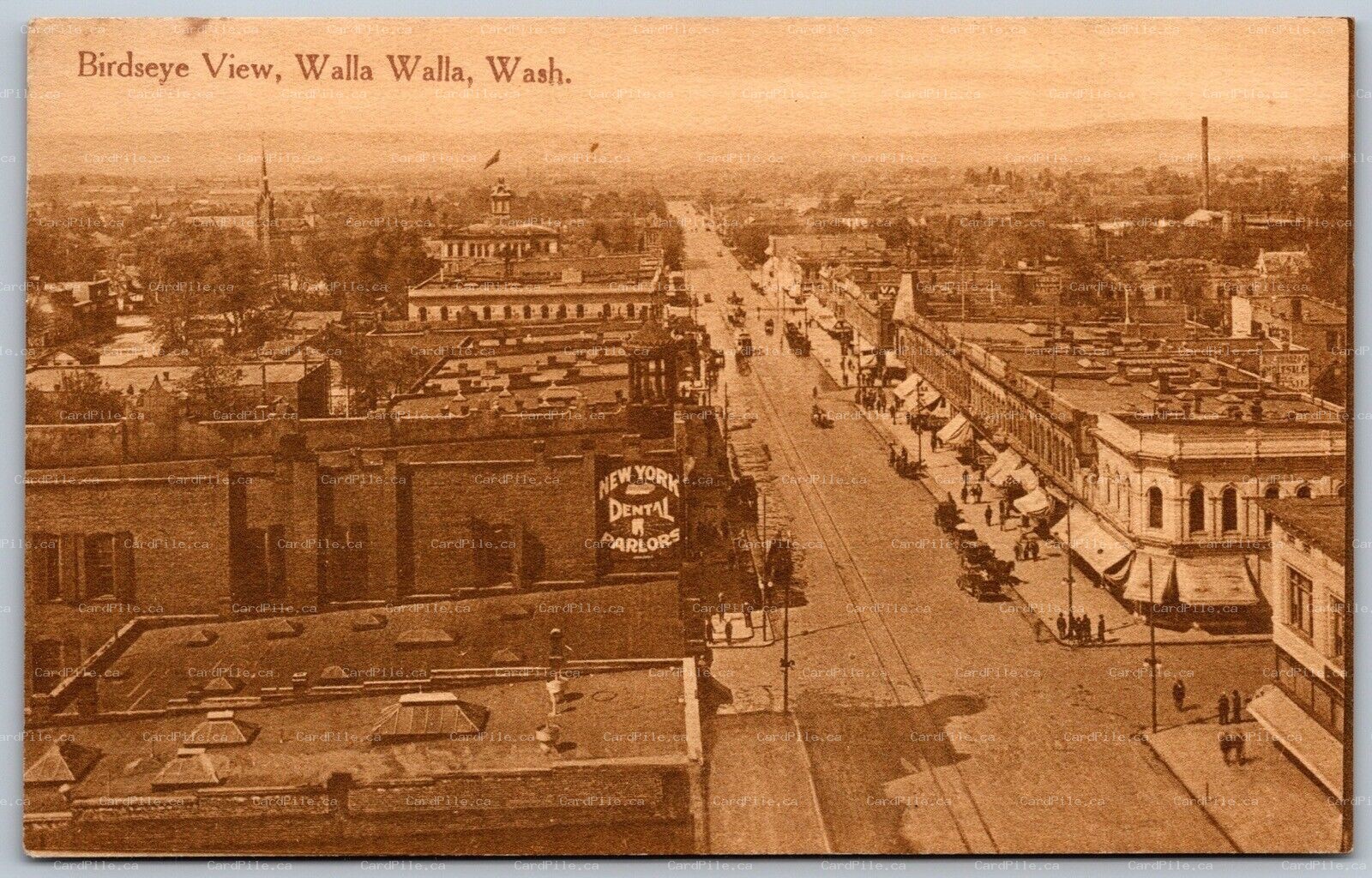 Postcard Walla Walla Washington c1920s Birds Eye View Shops Dentist Signs