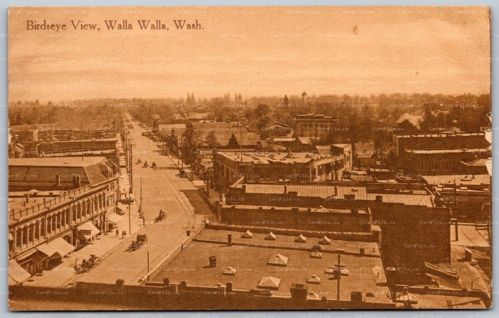 Postcard Walla Walla Washington c1920s Birds Eye View Shops Signs