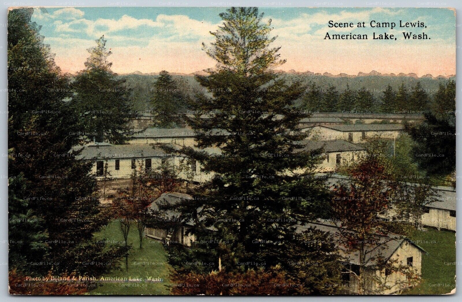 Postcard American Lake Washington c1910s Lakewood Scene at Camp Lewis 