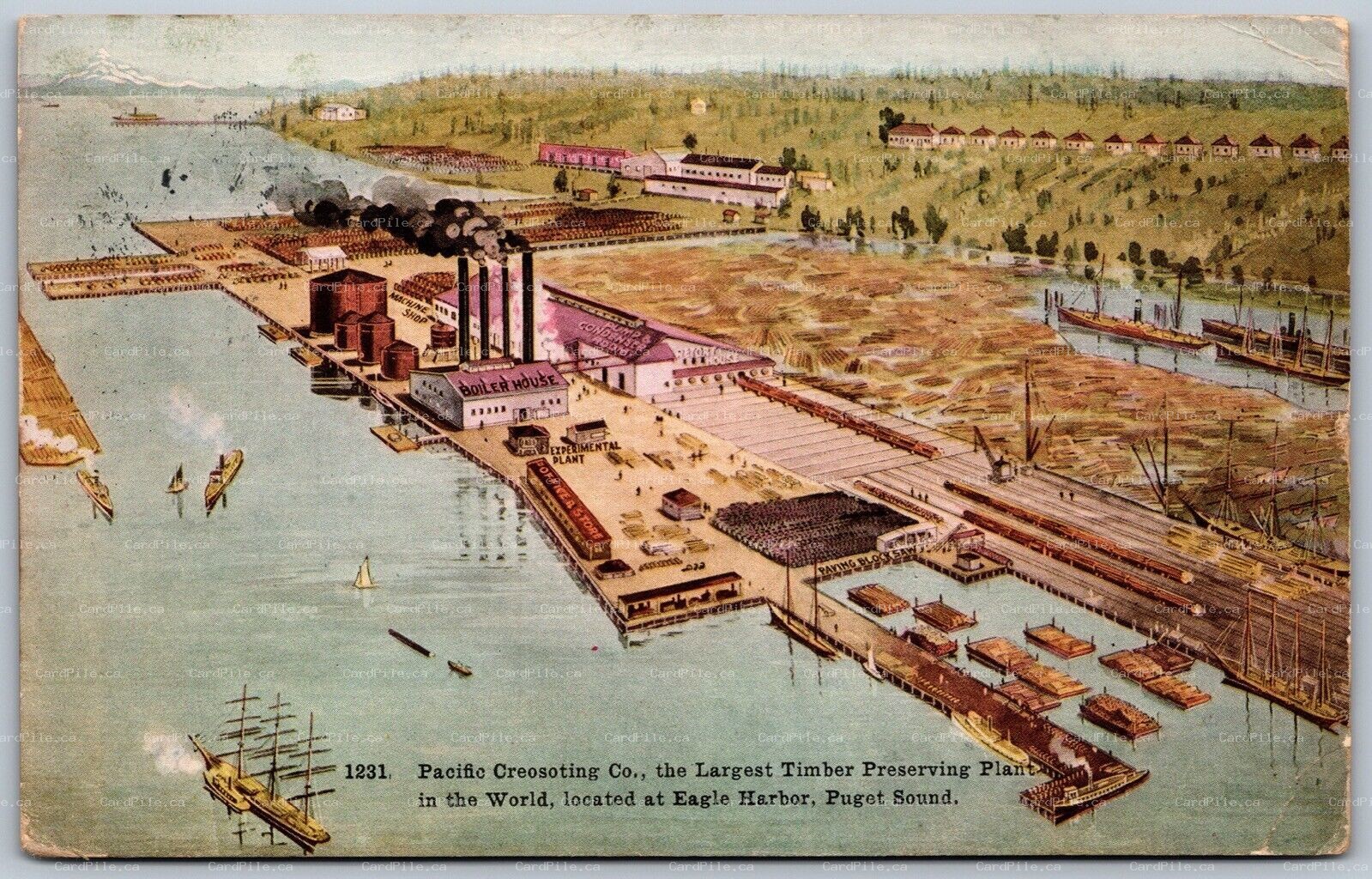 Postcard Puget Sound WA 1915 Pacific Creosoting Co. Timber Preserving Plant