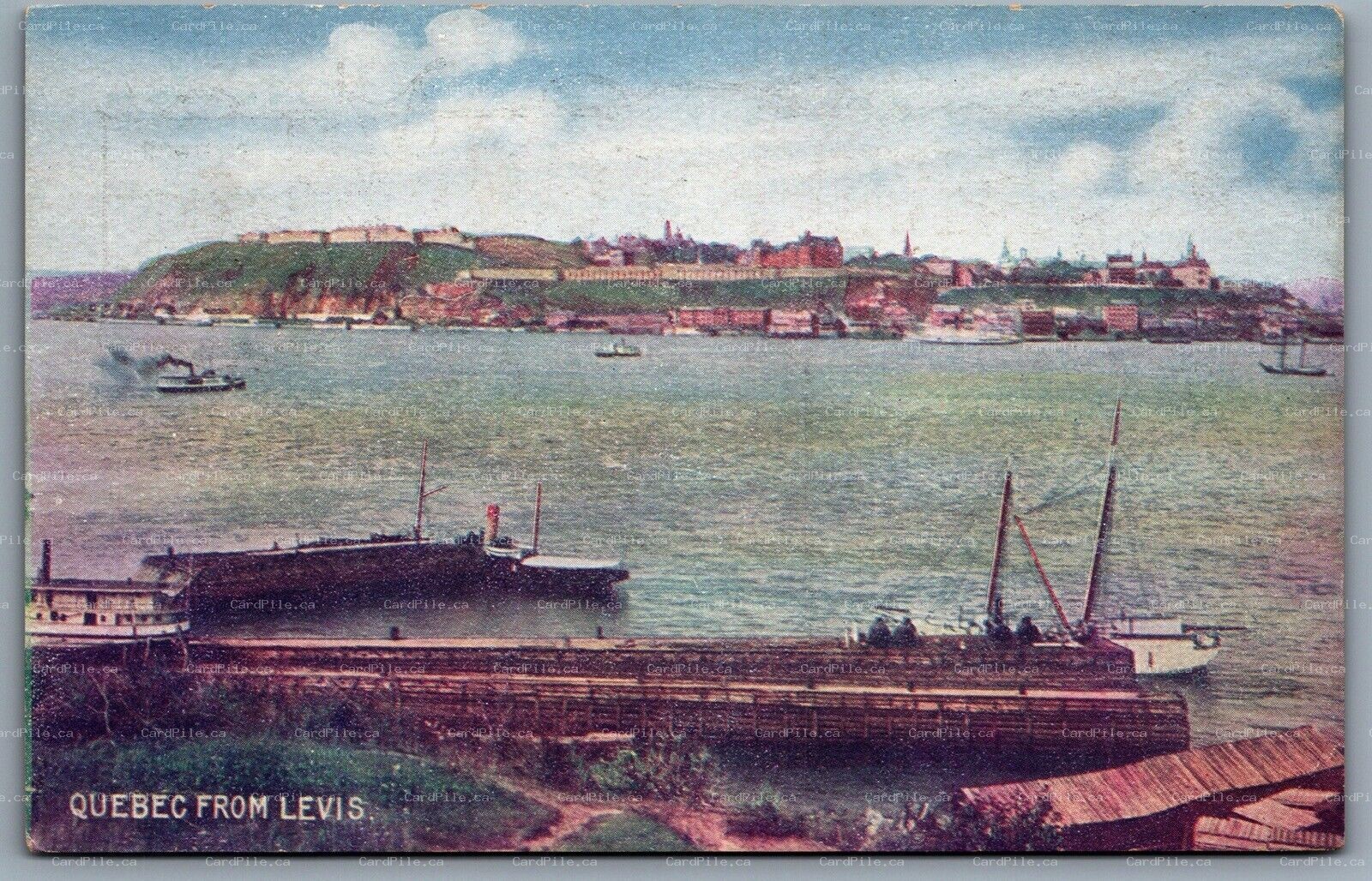 Postcard Levis Quebec c1905 Quebec From Levis St. Lawrence River Unused