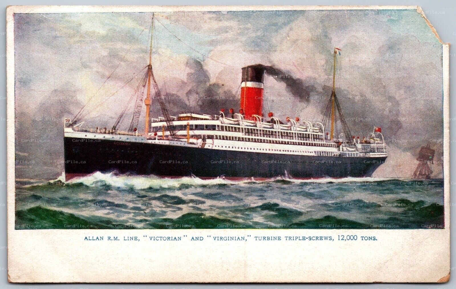 Postcard Allan RM Line Victorian and Virginian Turbine Triple Screws Steamers