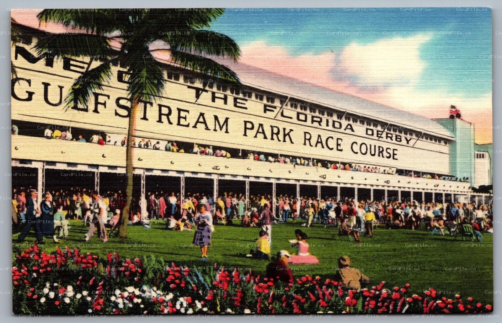 Postcard Hallandale FL c1940s Gulfstream Park Race Course Florida Derby