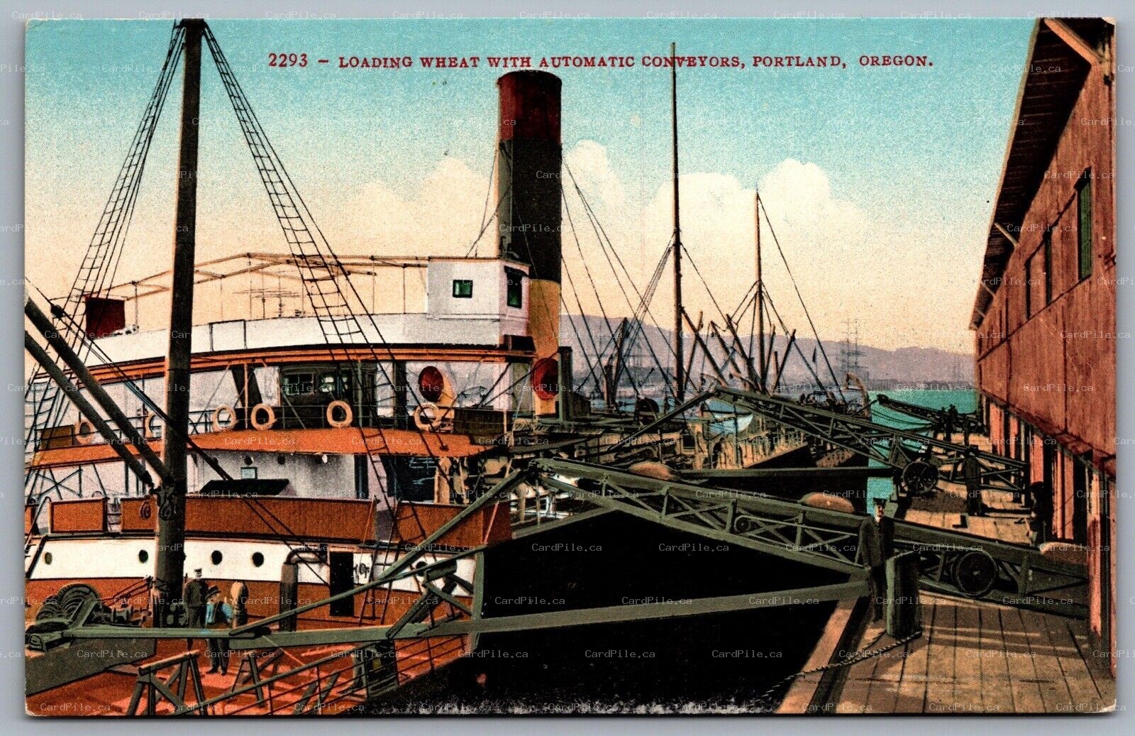 Postcard Portland OR c1910s Loading Wheat With Automatic Conveyors Steamer