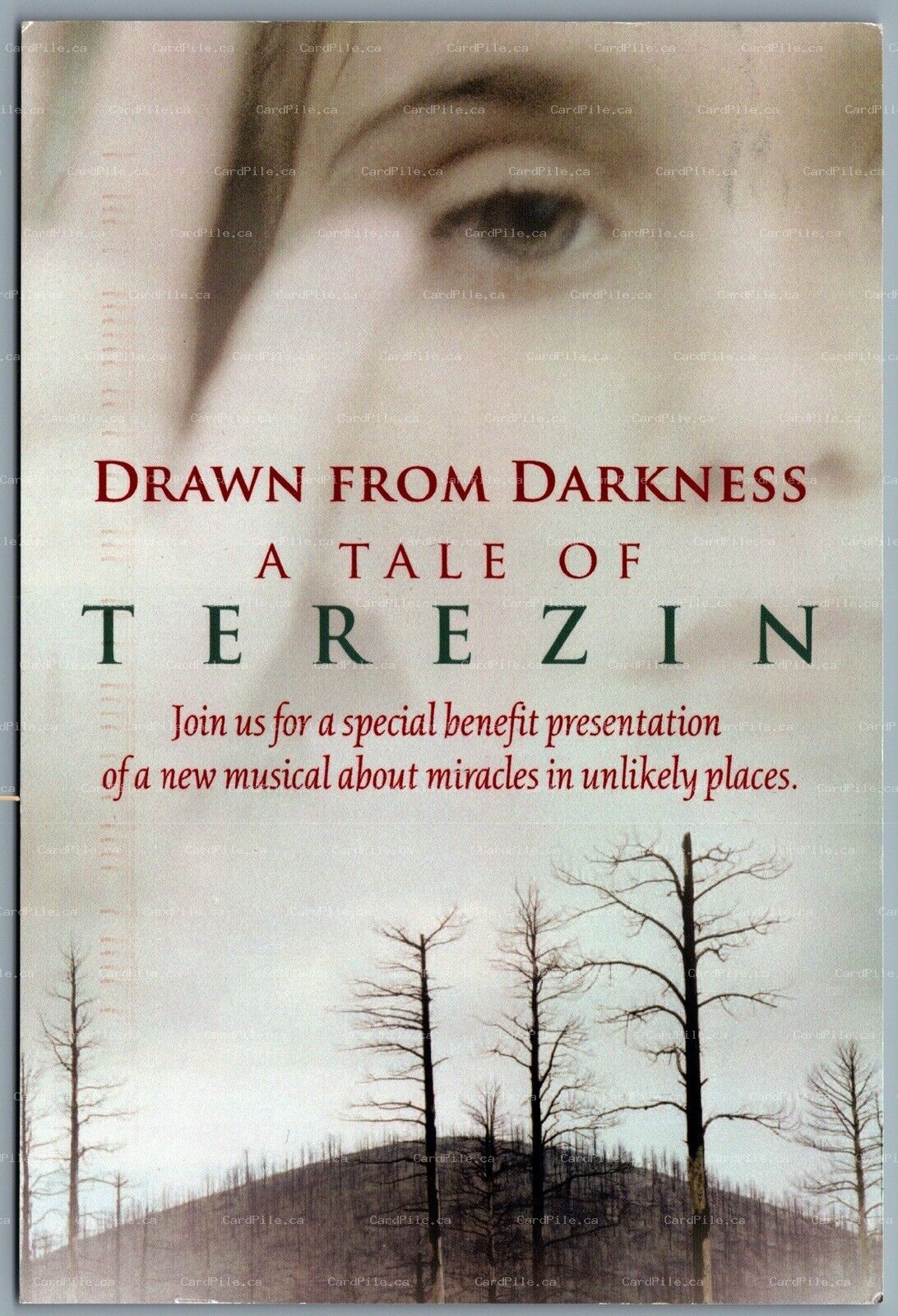 Postcard Theatre Drawn From Darkness A Tale Of Terezin Draper Hall Auditorium NY