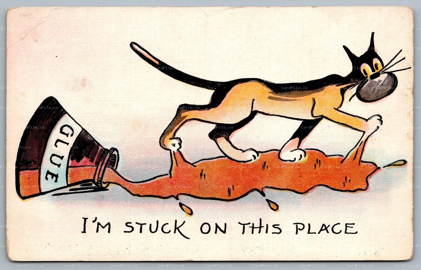 Postcard c1920s Cat Stuck In Spilled Glue Bottle Comical Cats Unused