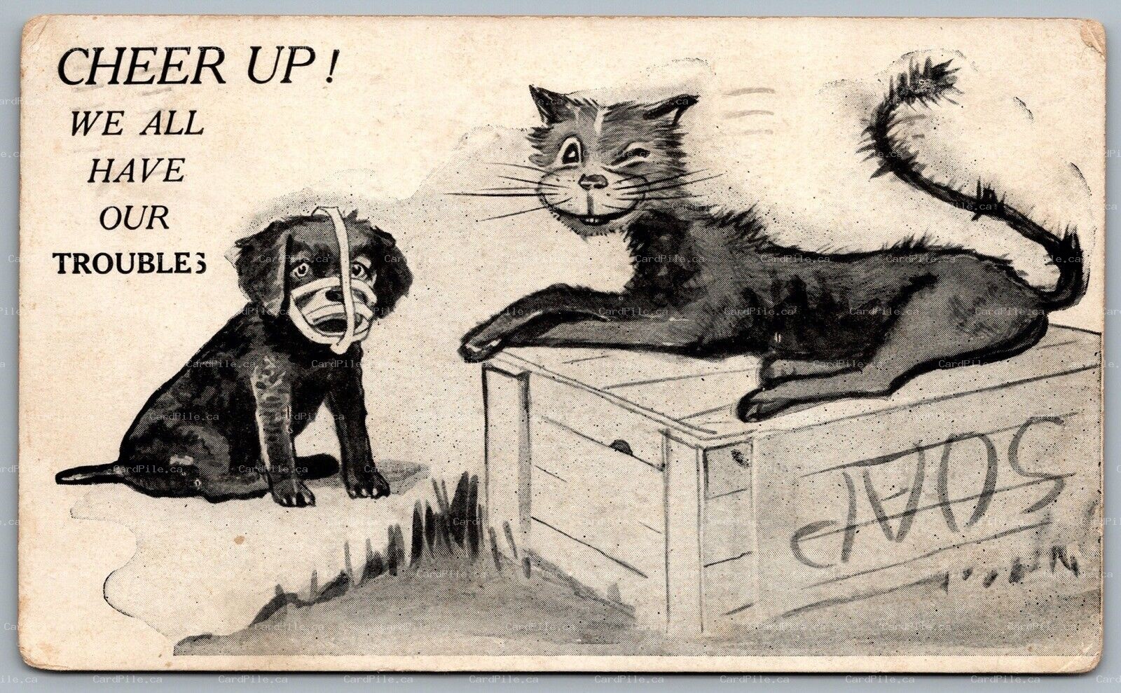 Postcard c1910 Cat Soap Box Puppy Wearing Muzzle Cheer Up! We All Have Troubles