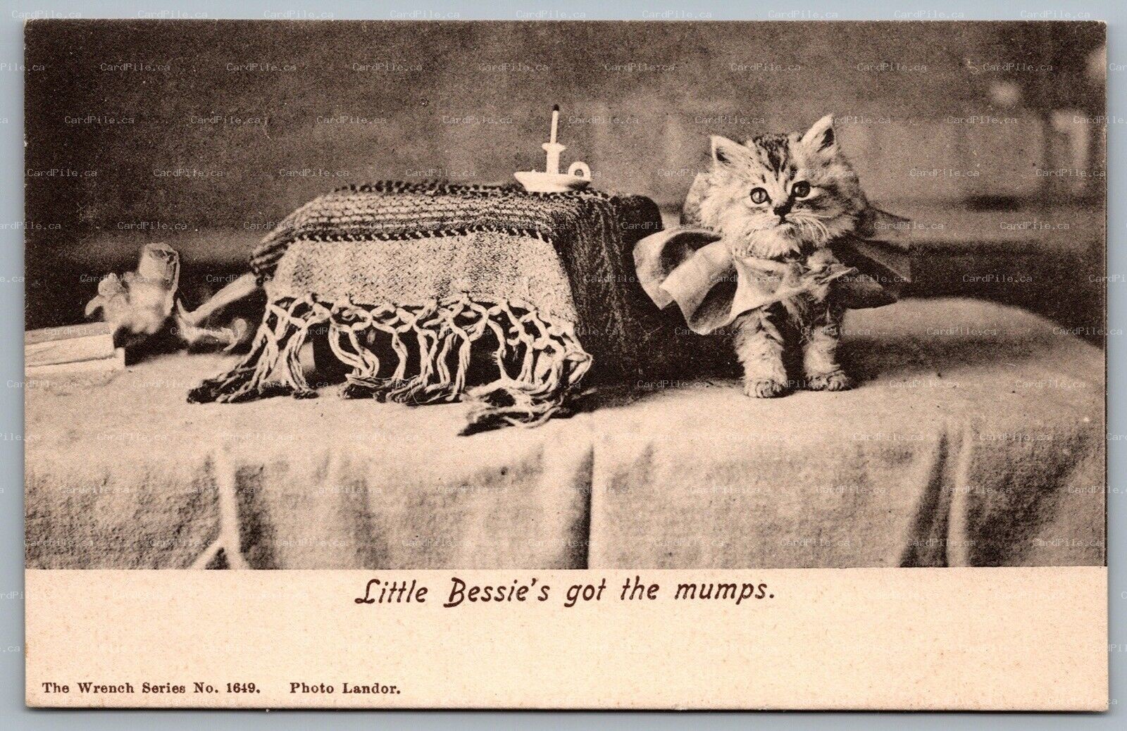Postcard c1909 Little Bessies Got The Mumps Kitten Photo by Landor Wrench Series