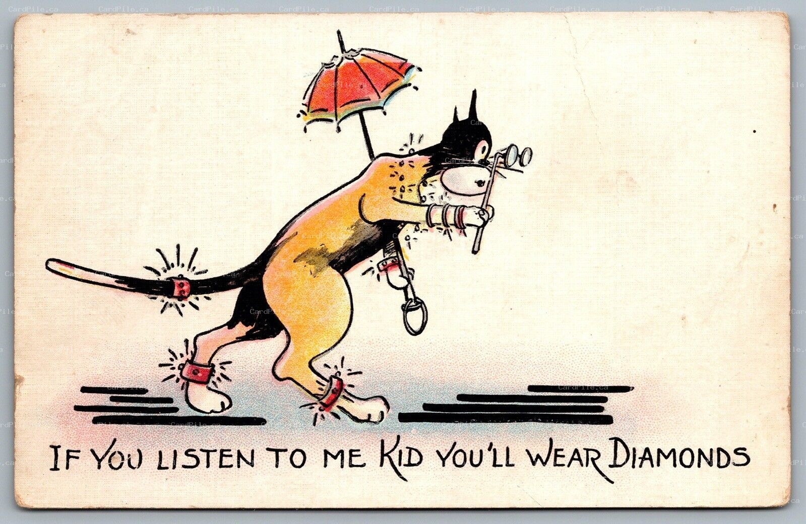 Postcard c1920s Flashy Anthropomorphic Cat With Spectacles Comical Cats Unused