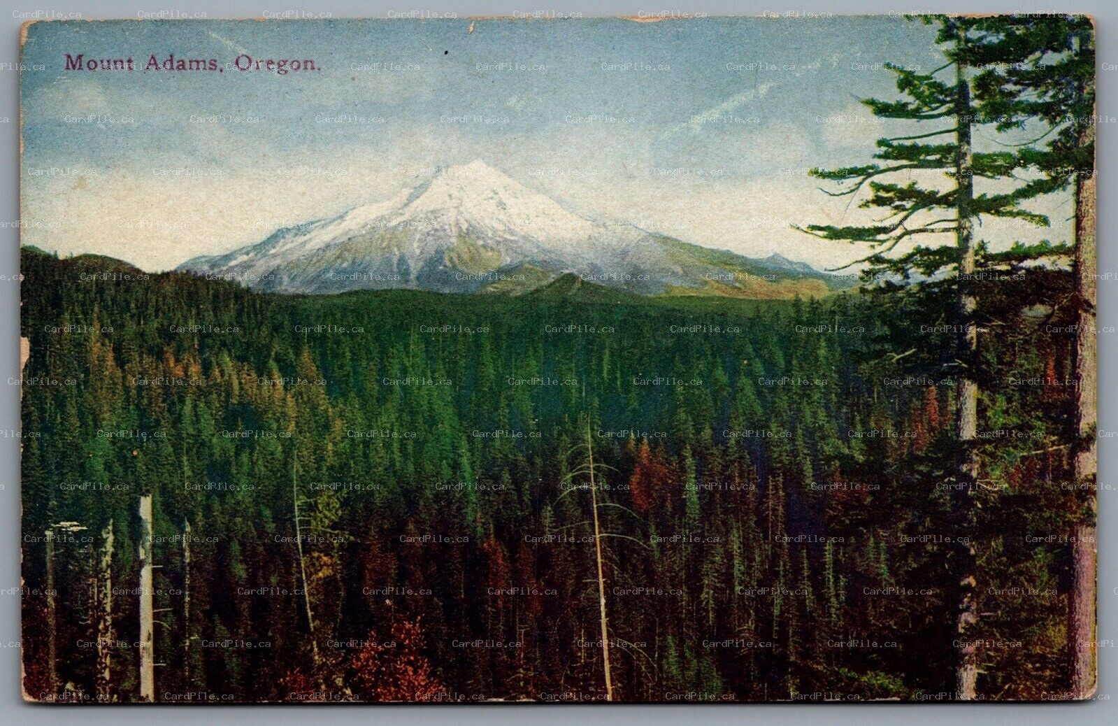 Postcard Mount Adams Oregon c1910s Arthur Capper