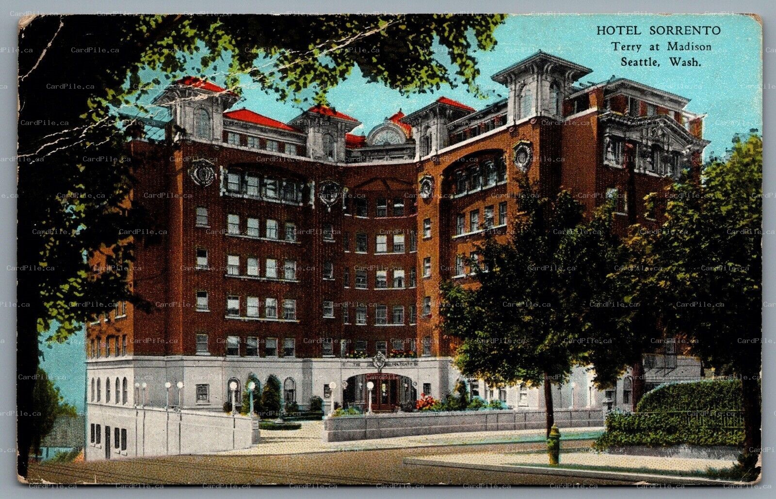 Postcard Seattle WA c1920s Hotel Sorrento Terry At Madison