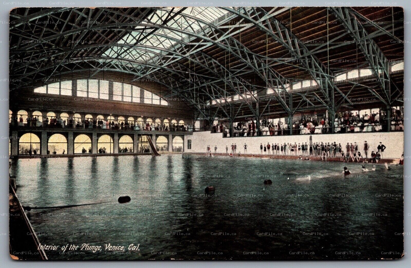 Postcard Venice CA c1920s Interior of the Plunge Swimming Pool Bathers