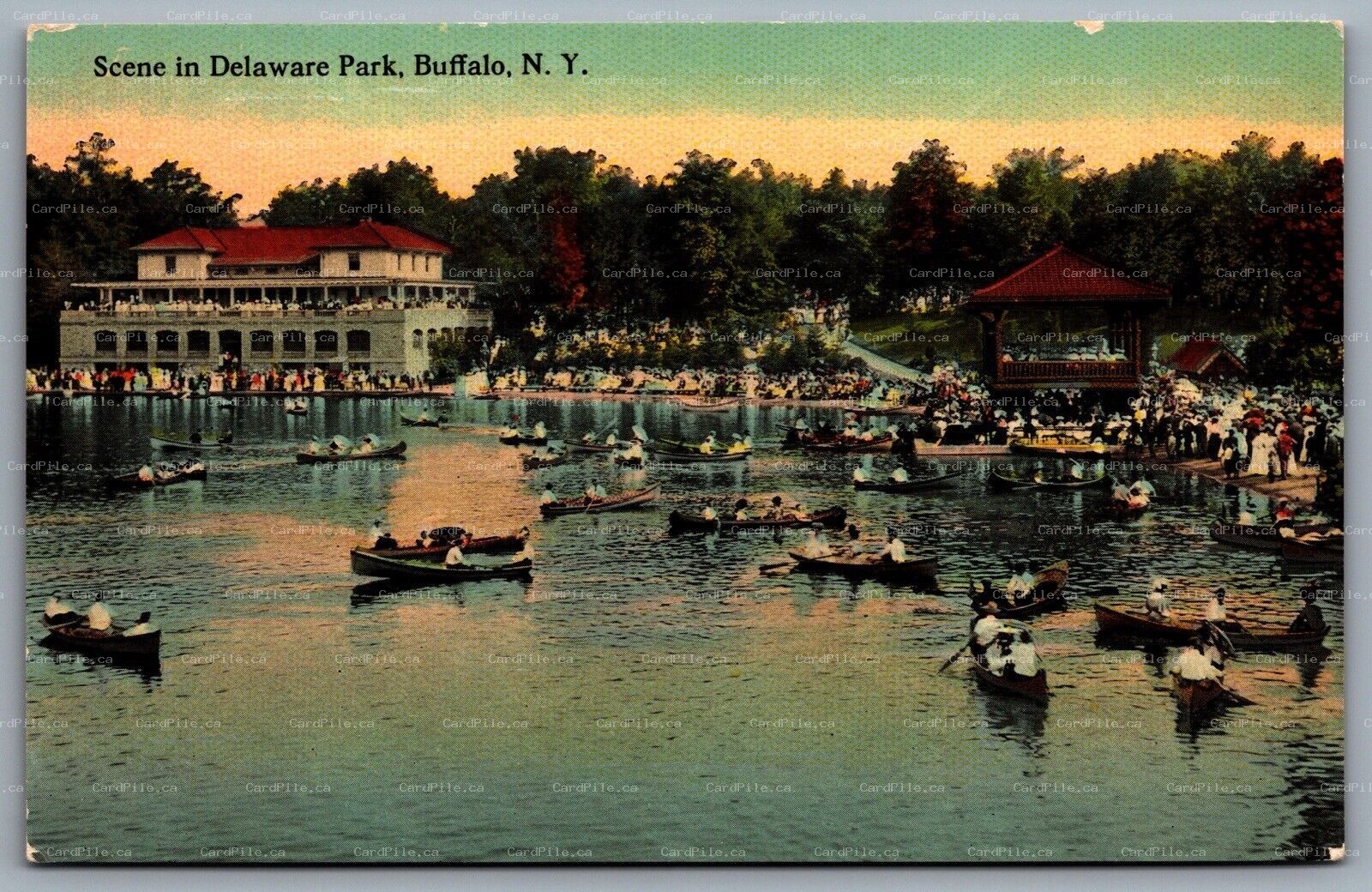 Postcard Buffalo NY c1915 Scene in Delaware Park Canoes Canoeing Large Crowd