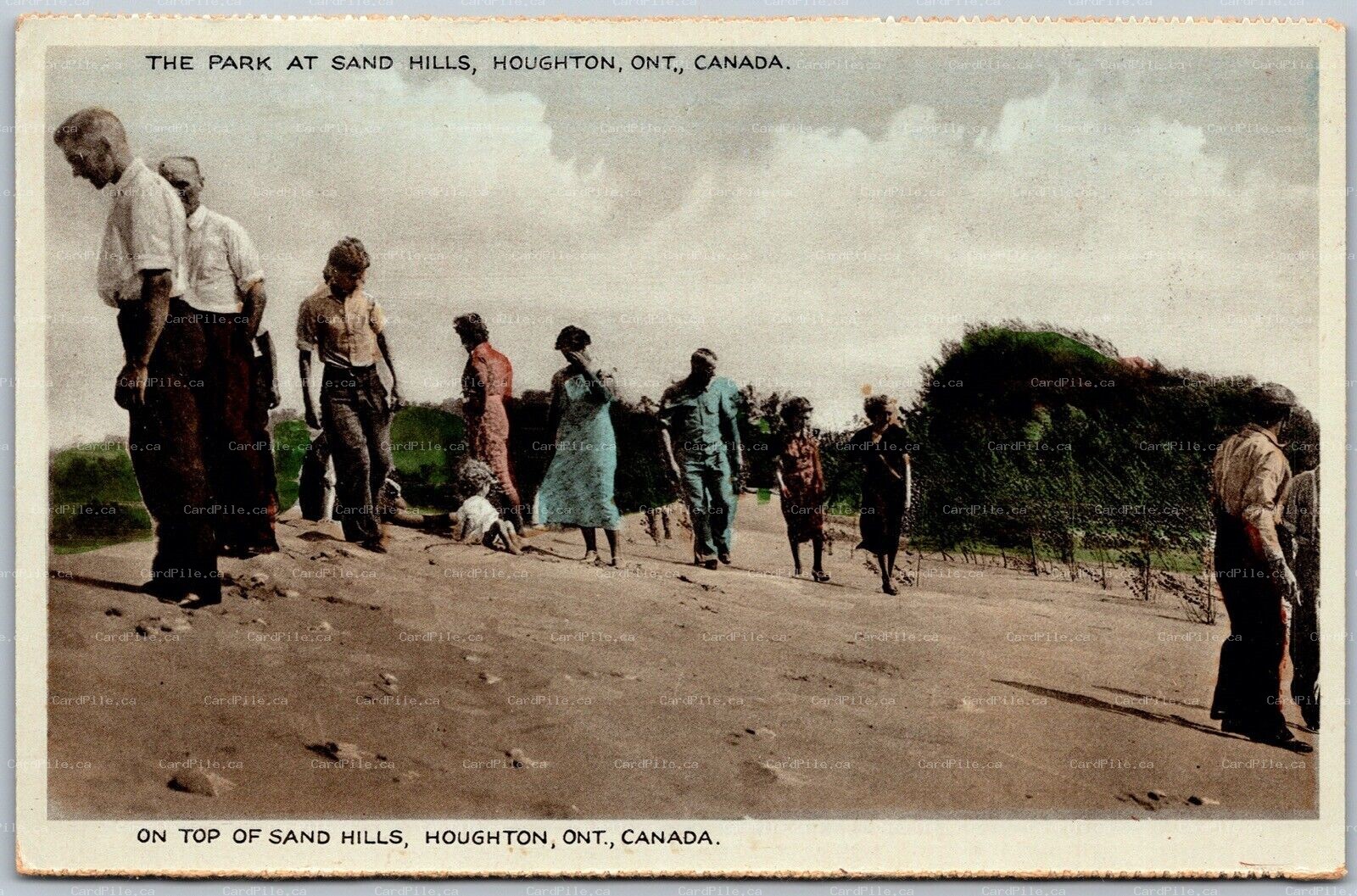 Postcard Houghton ONT c1944 The Park at Sand Hills Norfolk County