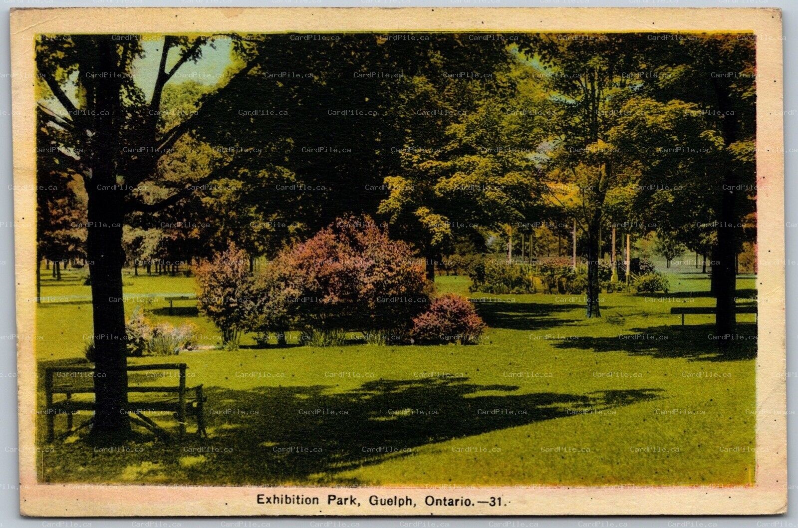 Postcard Guelph Ontario c1946 Exhibition Park Scenic Wellington County