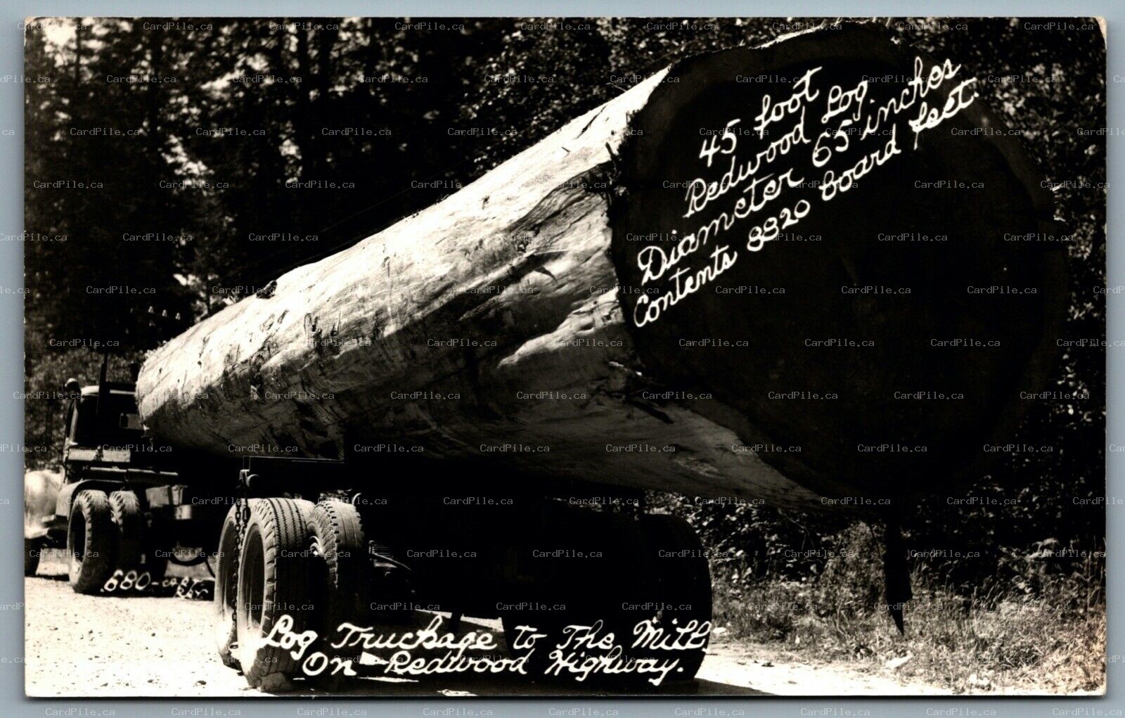 Postcard RPPC c1950s California 45 Foot Redwood Log Truckage to the Mill