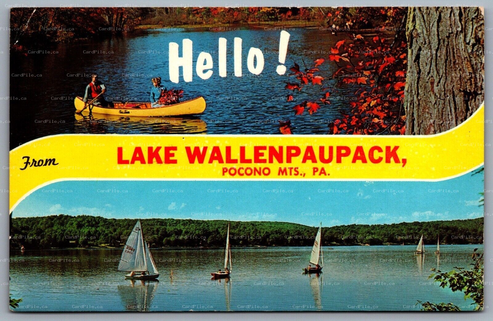 Postcard Lake Wallenpaupack PA c1960s Hello From Lake Wallenpaupack Pocono Mts