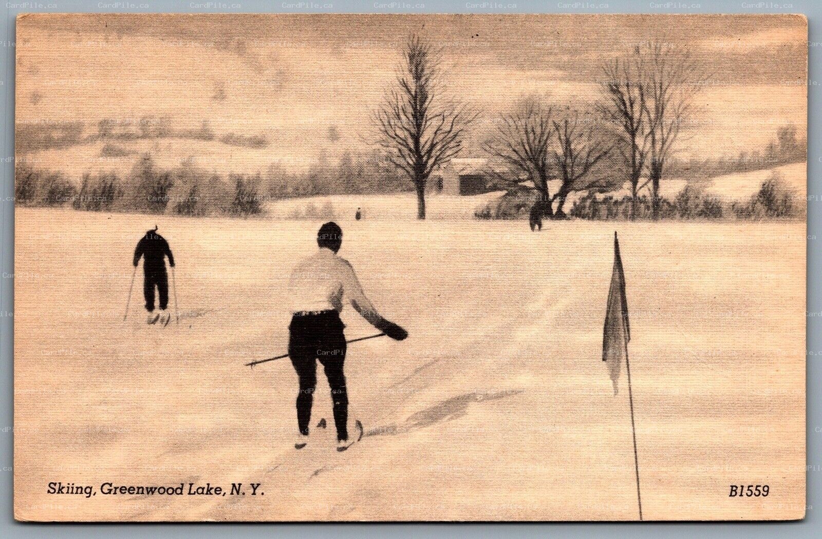 Postcard Greenwood Lake New York c1920s Skiing Winter Scene Orange County